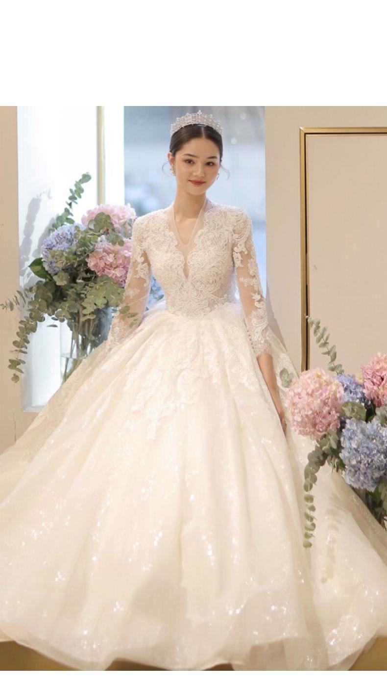 Long Sleeve New Winter V-neck Flower Ball Gown Dresse