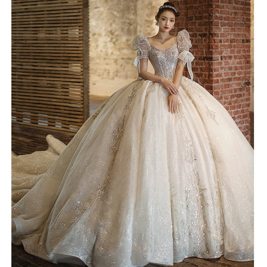 Luxury Beading Lace Wedding Dress 2023 V Neck Puff Sleeve Princess Wedding Gown With Big Sweep Train Plus Size Wedding Dress